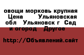 овощи морковь крупная › Цена ­ 7 - Ульяновская обл., Ульяновск г. Сад и огород » Другое   